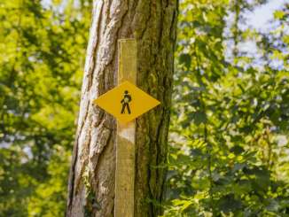 Ein gelbes Wanderwegweiser-Schild an einem Holzpfosten steht im Wald vor einem Baum.