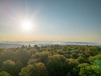 Aussicht über den Wald beim Beringer Randenturm mit Blick auf Hügel.