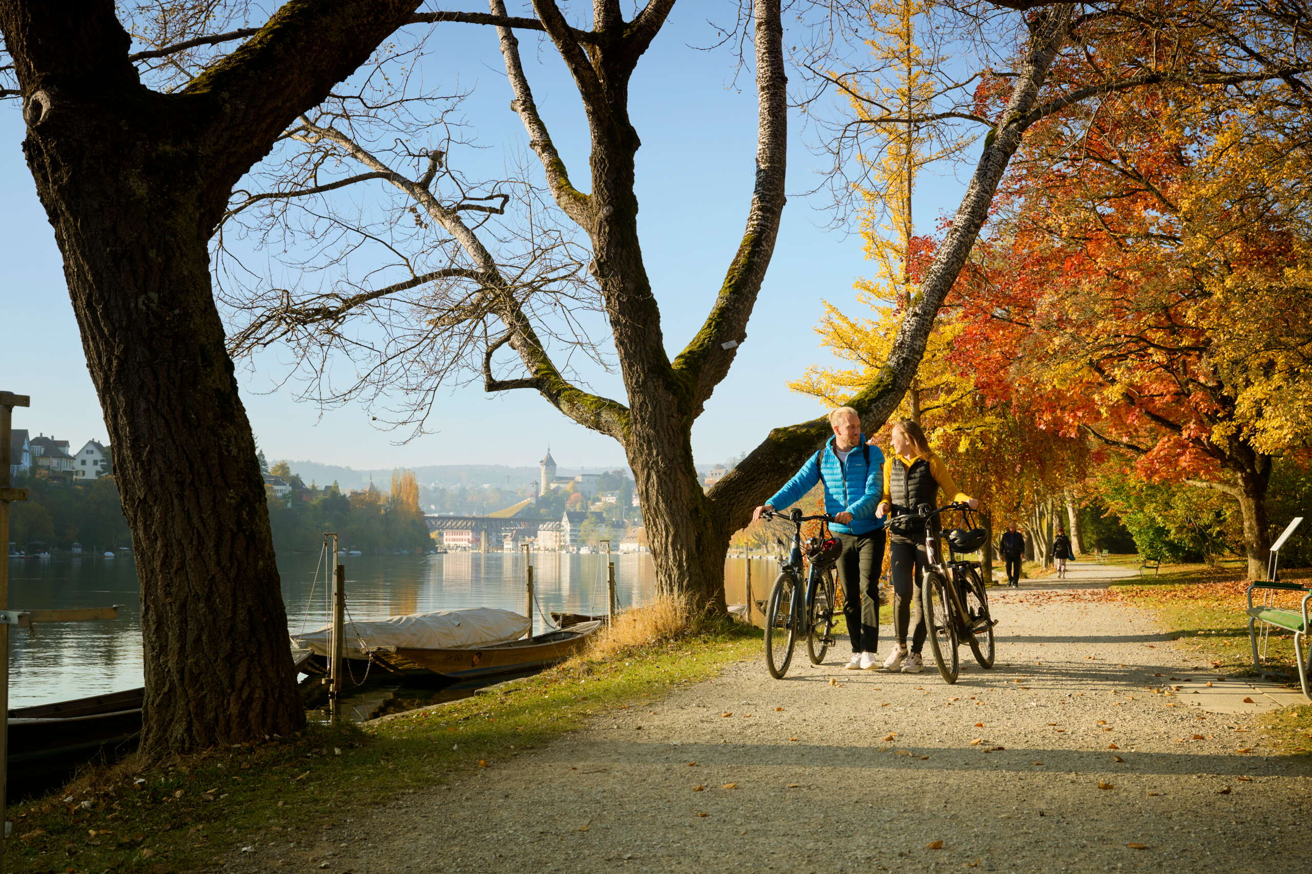 Ein Päärchen welches die Räder schiebt und den goldenen Herbst am Rhein geniesst und der Uferpromenade entlang schlendert.