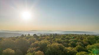 Aussicht über den Wald beim Beringer Randenturm mit Blick auf Hügel.